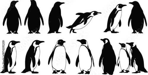 Penguin silhouettes collection, different poses of penguins, black animal vector set, Antarctic wildlife illustration, isolated on white background, modern design