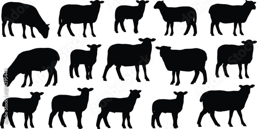 Sheep silhouette collection, lamb and ewe farm animals, grazing standing poses, black livestock figures, isolated on white background