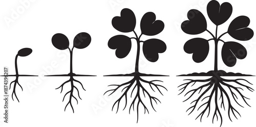 Black Silhouette Progression of a Plant Growing from Seed to Mature Plant growth