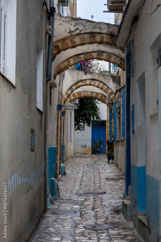 Fototapeta premium Narrow streets of medina, Bizerte, Tunisia