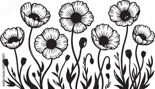 Black and White Outline Illustration of Poppies and Buds Keywords: Poppy, Flower, Floral, Blossom, Bloom, Bud, Stem, Leaf, Plant, Nature