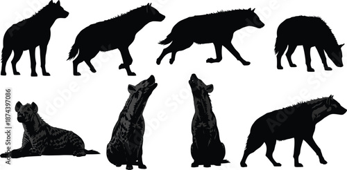 Hyena silhouette collection, wild animal poses, African predator walking sitting howling, black wildlife shapes, isolated on white background