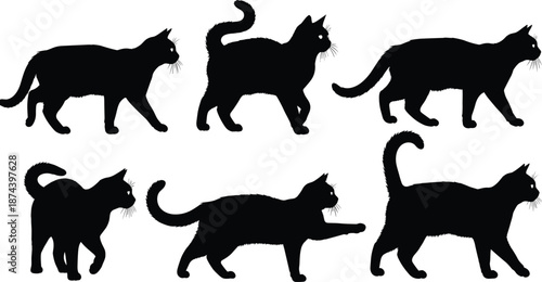 Black cat silhouette collection in different walking poses, domestic animal illustration, feline movements, isolated on white background, vector style design