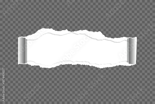 Torn of white paper strips, piece is on white spotted background for text, advertising or design. Vector illustration