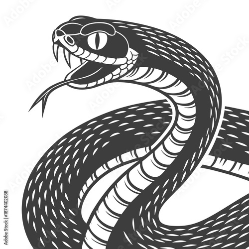 black and white snake