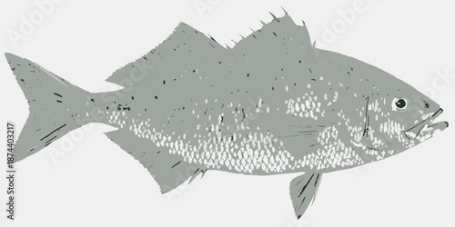 A simple illustration of a gray fish with detailed fin and eye features