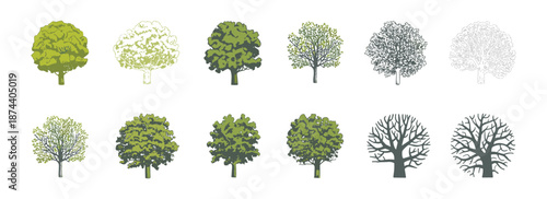 Vector view of trees in hand-drawn, isolated on a white background, for landscape and architectural projects, environmental and garden elements.