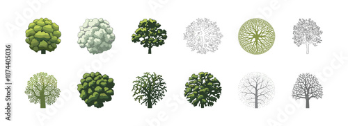 Vector view of trees in hand-drawn, isolated on a white background, for landscape and architectural projects, environmental and garden elements.