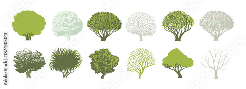 Vector view of trees in hand-drawn, isolated on a white background, for landscape and architectural projects, environmental and garden elements.