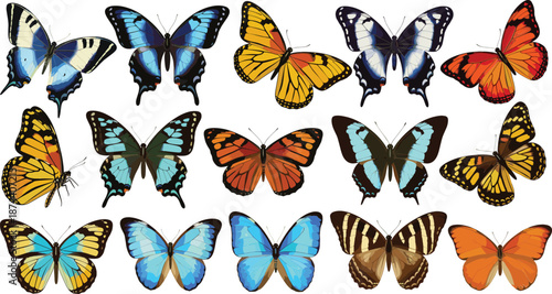 Detailed colorful butterfly illustration set showing multiple species with spread wings isolated on white background vector