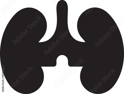 Human kidneys illustration