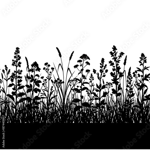 Decorative wildflowers and grass silhouettes against a plain white background for design and decoration with floral and pattern and nature and black