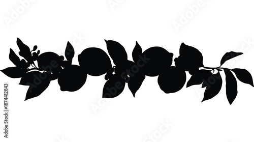 Lemon branch silhouette with citrus fruit and leaves horizontal border vector illustration.