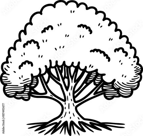 Large oak tree with spreading branches and dense foliage, nature illustration in black and white