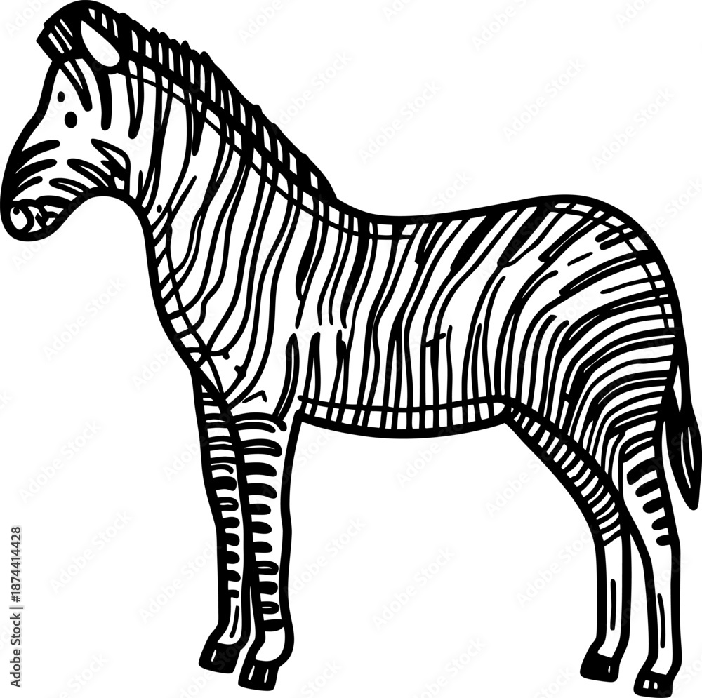Fototapeta premium zebra illustration with black and white stripes, wild animal drawing, safari wildlife art