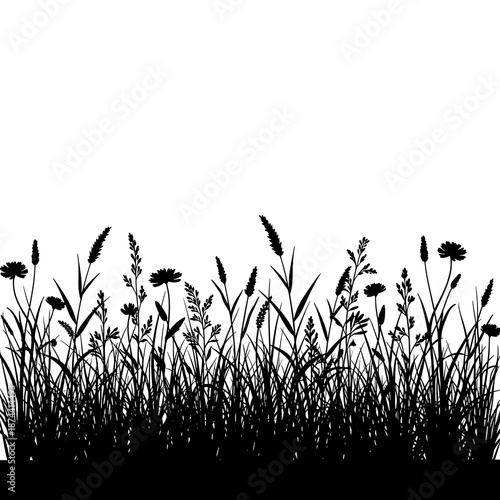 Minimalist silhouette of various wildflowers and grasses against a white background for design and decoration purposes with graphic and resource