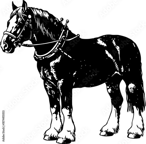 Black draft horse with harness standing in profile strong work animal with feathered hooves and muscular build
