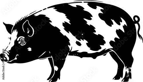 Black and white spotted pig illustration, farm animal side view drawing