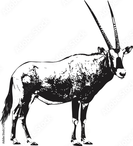 oryx antelope standing side view with long straight horns and patterned fur silhouette
