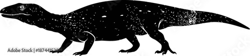 Silhouette of a walking lizard with textured skin and long tail in side profile
