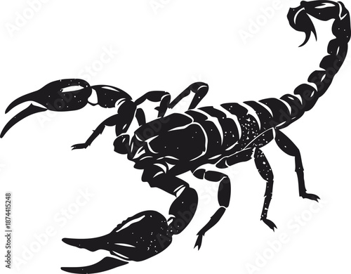 Black scorpion silhouette with detailed pincers and segmented tail, aggressive posture illustration
