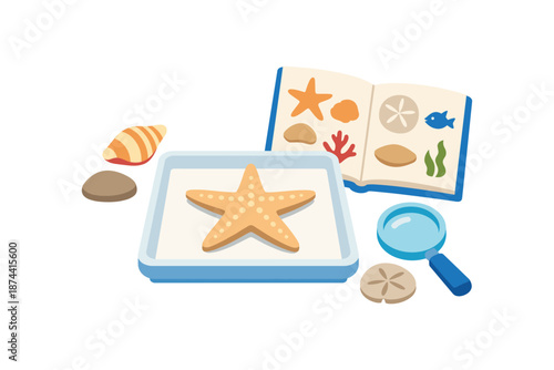 Seaside exploration kit for kids: starfish, shells, and marine discoveries
