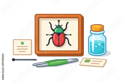 Entomology tools and specimen display in cartoon flat style
