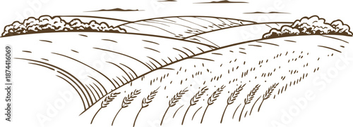 Country farmland landscape with rolling hills, growing crops, and distant trees in a rustic