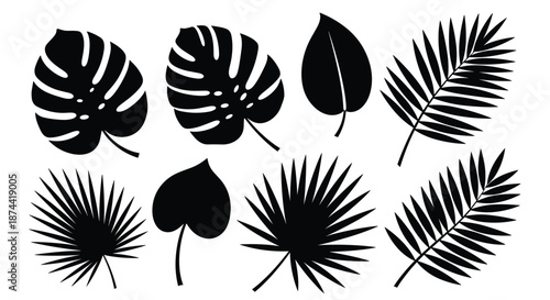 Collection of black silhouette icons of various tropical leaves including palm and monstera on a clean white background for design work.