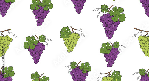 Vibrant seamless pattern of purple and green grapes with green leaves and curly tendrils on a plain white background for food branding.