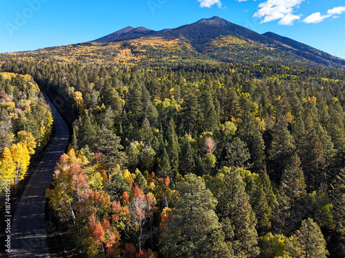 Autumn color, San Francisco Peaks