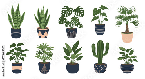 Beautiful collection of various indoor potted plants like monstera, snake plant, and cactus in decorative ceramic pots on a white background.