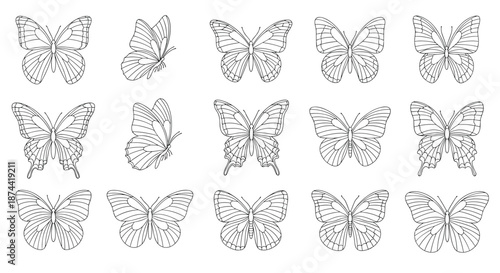 Set of detailed butterfly sketches in black and white line art, showing different wing patterns and flying positions on a white background.