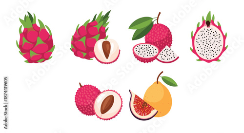 Comprehensive set of tropical exotic fruit illustrations including dragon fruit, lychee, and fig, both as whole fruits and sliced pieces.