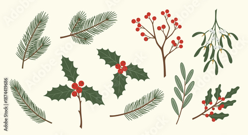 Winter botanical collection includes pine branches, holly leaves, mistletoe, and red berries for creating traditional christmas decorations.