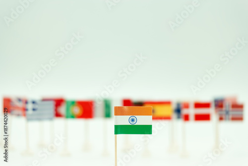Flags from different countries displayed with Indian flag in focus at a celebration event in a bright setting