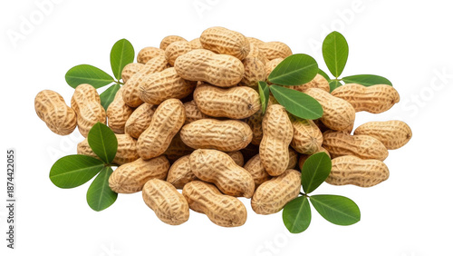 Peanuts with leaves isolated on transparent background