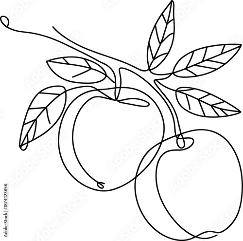 Title: Two apples with leaves and stems on a transparent background