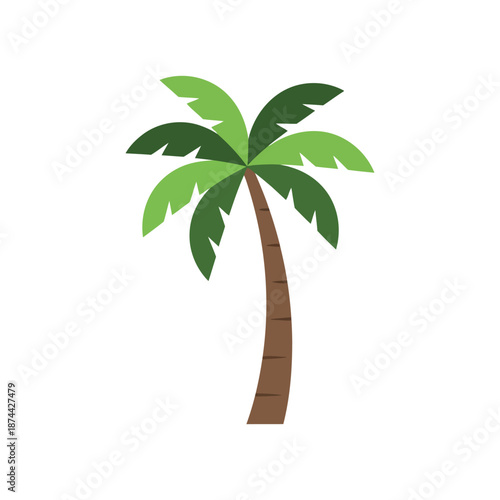 palm tree vector illustration