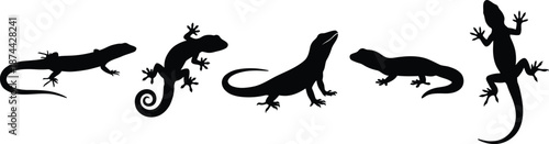 Gecko Silhouette Vector