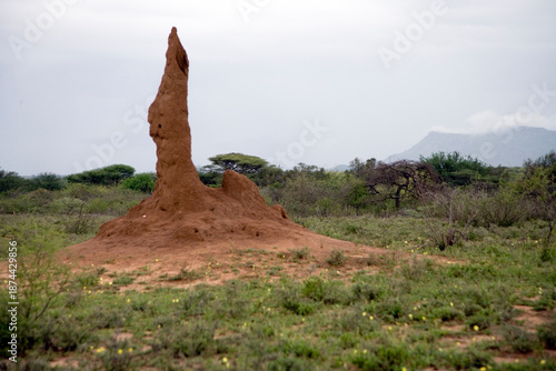 Foto Ethiopian termite mound on a cloudy winter day