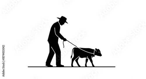 Silhouette of Farmer Walking with a Young Calf on a Leash Traditional Livestock Farming and Animal Husbandry Concept