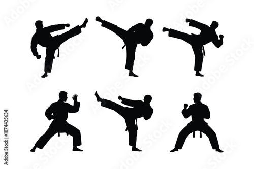 Collection of martial arts silhouettes in various combat poses