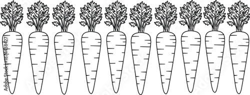 Carrot vegetable line art border pattern, cad drawing flat vector illustration for healthy food design, packaging, kitchen decor, minimal print
