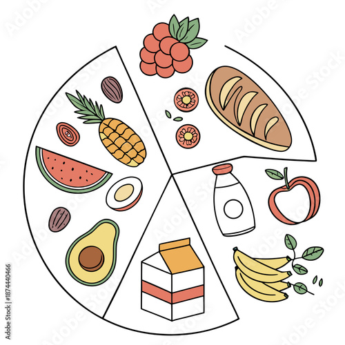 Balanced diet food wheel