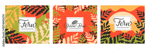 Set of posters, banners, creative cards with fern elements, abstract botanical templates