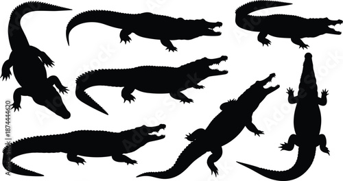 Crocodile, silhouettes, collection, reptile, wildlife, predator, animals, set, black, vector, illustration, isolated, nature, river, swamp, dangerous, species, design, stock, bundle