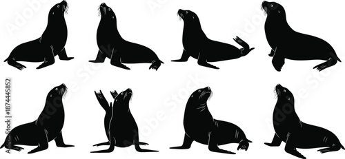 Sea lion silhouette collection, marine mammal poses set, black vector illustration, ocean wildlife animals, isolated on white background design template