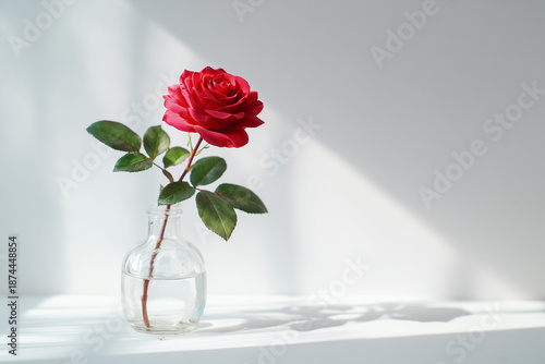 Single Red Rose in Glass Vase with Soft Natural Light