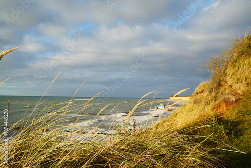 View over the sand cliff coast, Baltic sea on the Darss Peninsula, Germany